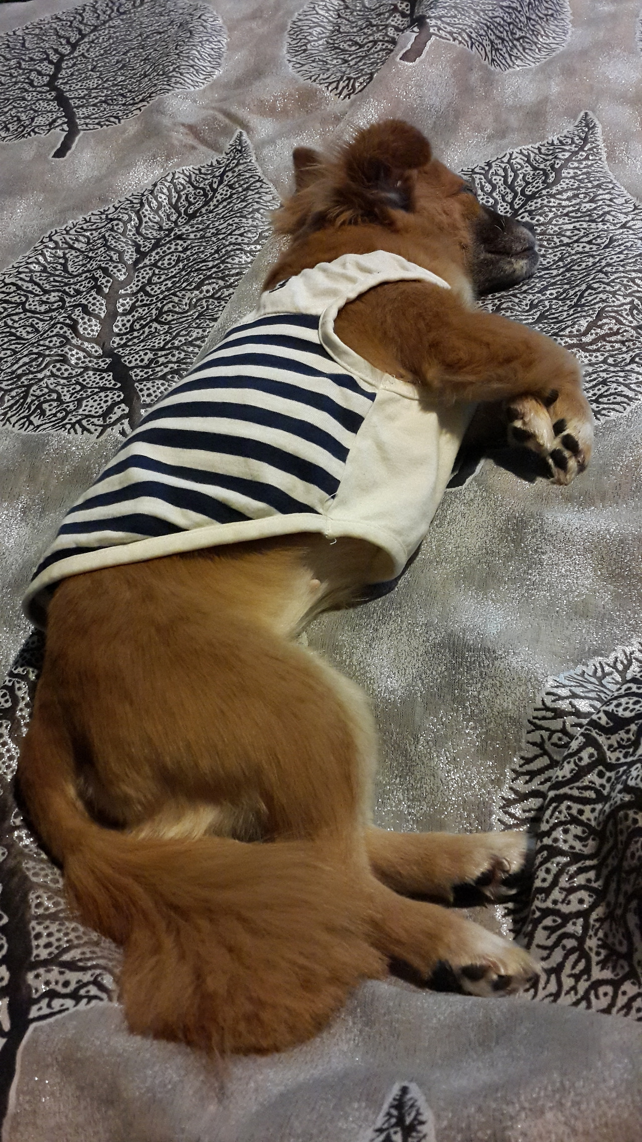 자는 꼬맹이.jpg