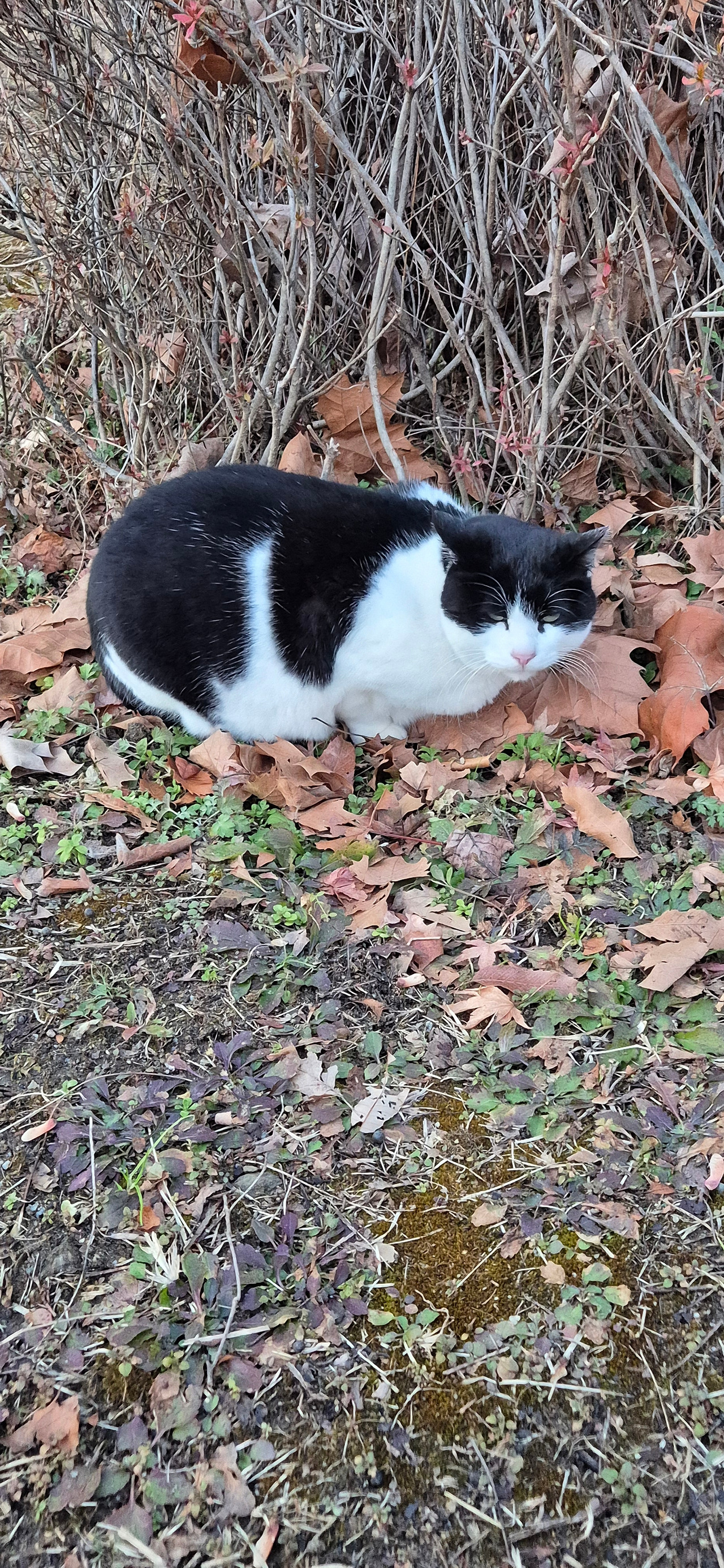 KakaoTalk_20251221_163356326_02 (1).jpg