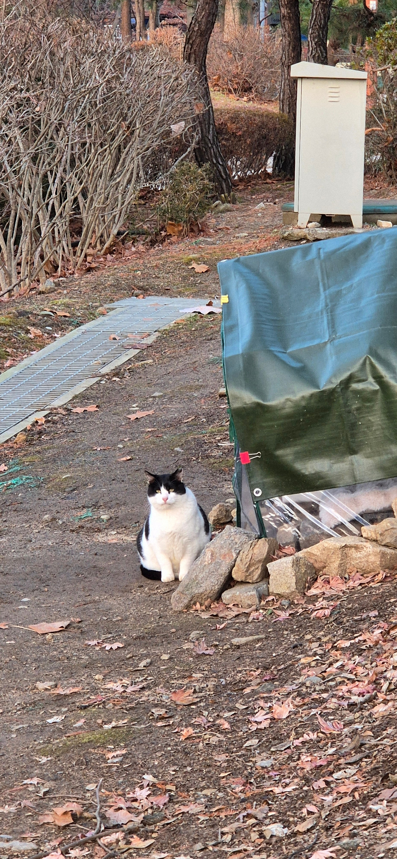 KakaoTalk_20251221_163356326 (1).jpg