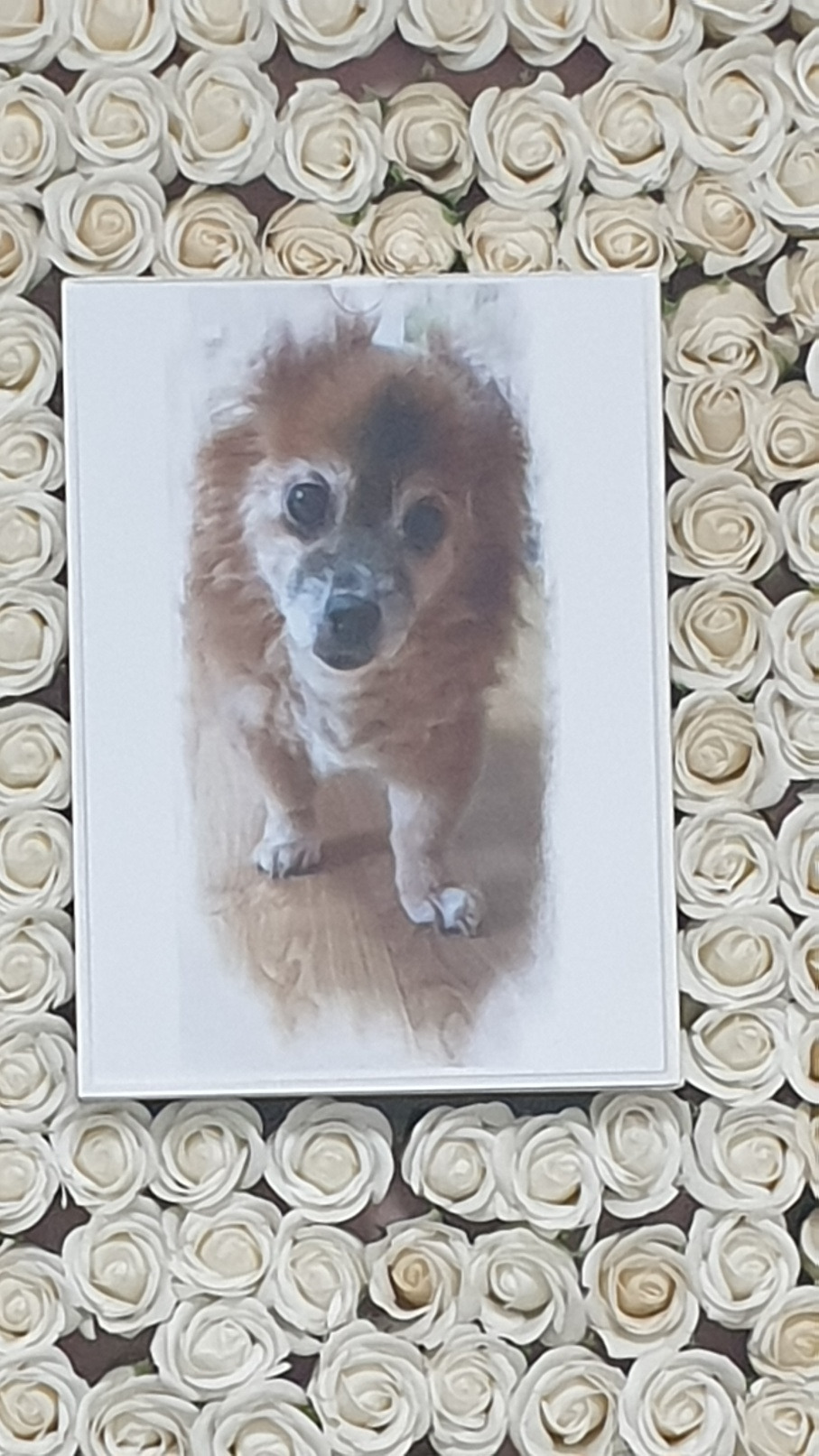 꼬맹이 사진.jpg