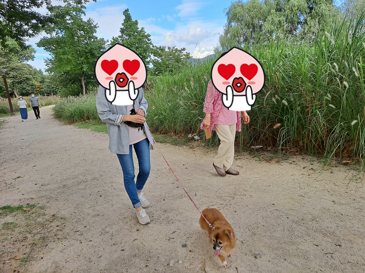 꼬맹이 웃기.jpg