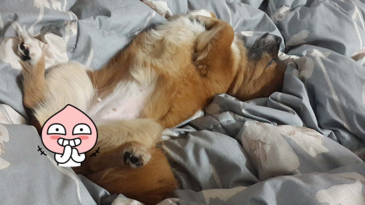 자는 꼬맹이2.jpg