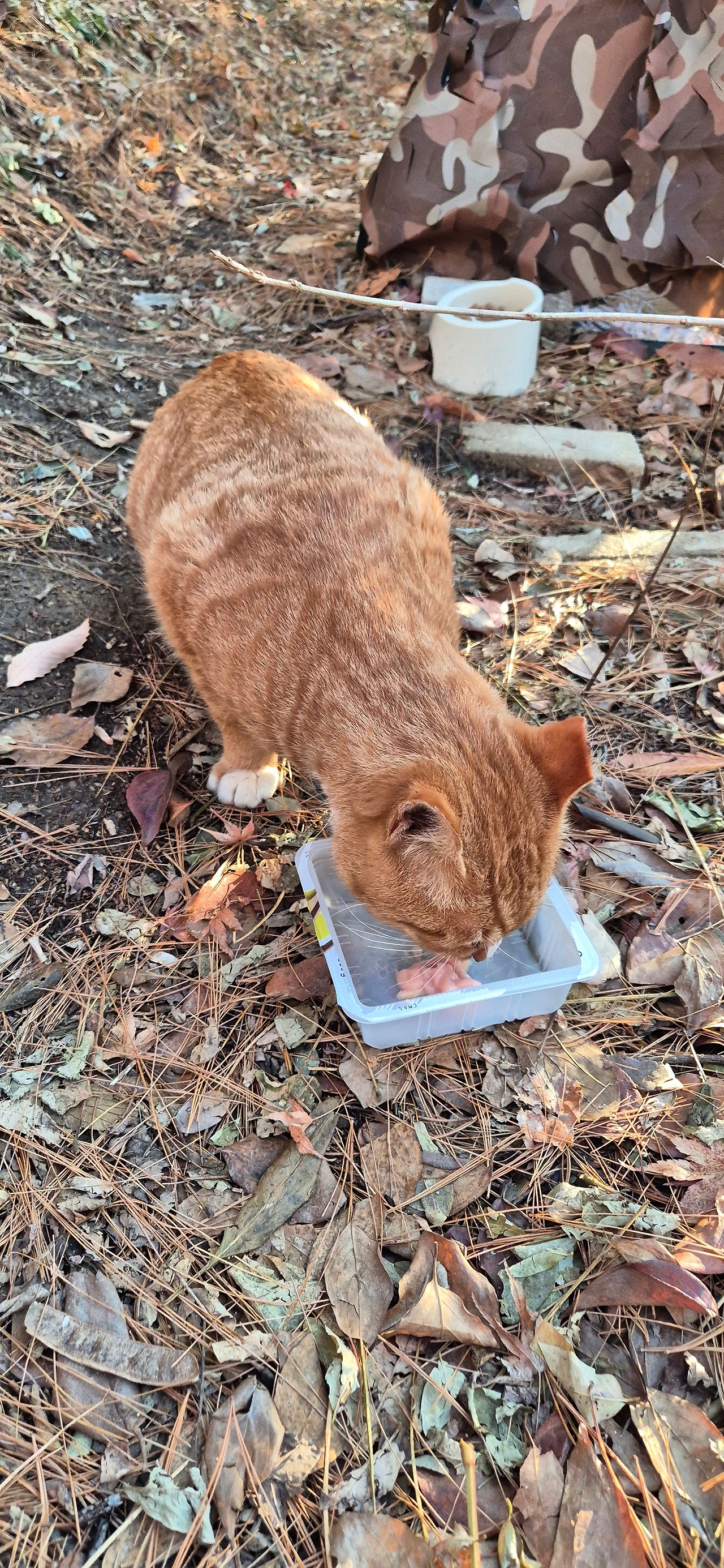 KakaoTalk_20251221_163356326_04 (1).jpg