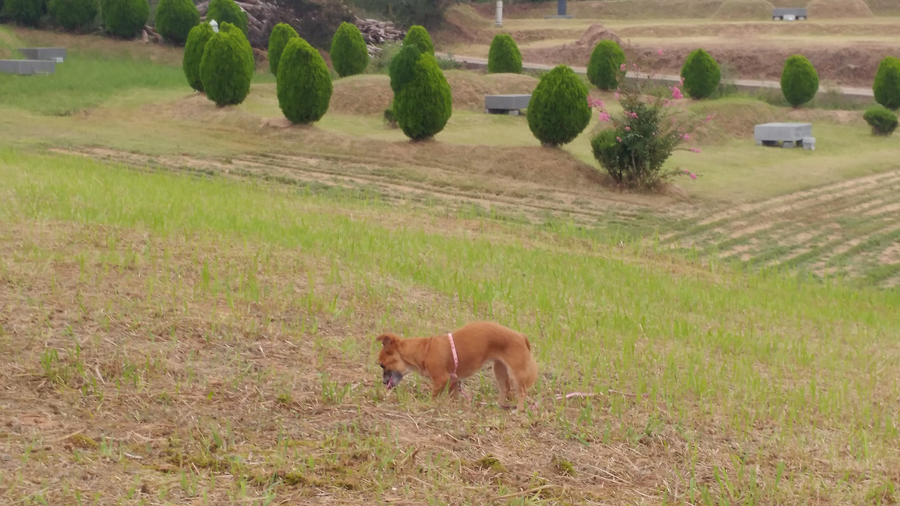 고창 꼬맹이2.jpg