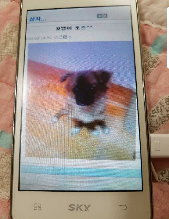 KakaoTalk_20250206_214125493.jpg