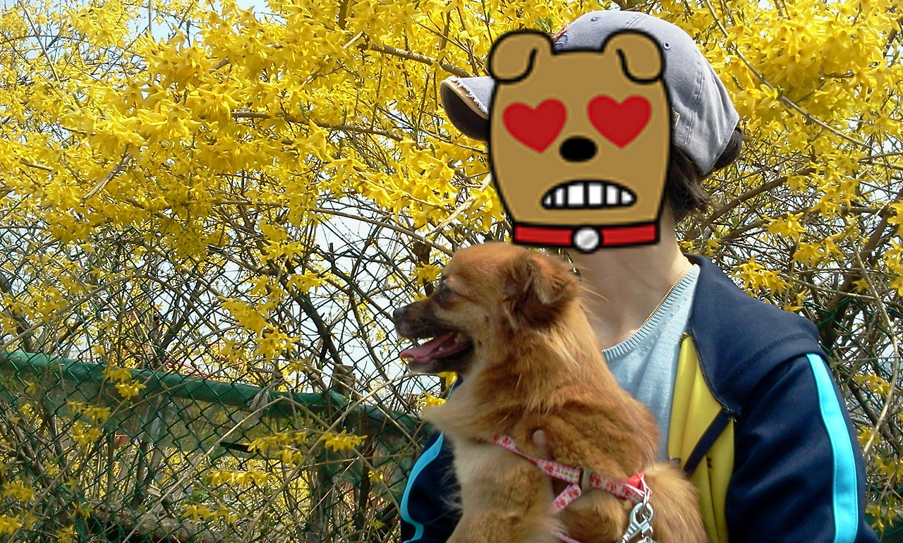 개나리와 꼬맹이.jpg