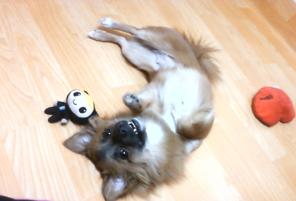 인형을좋아한 꼬맹이.jpg