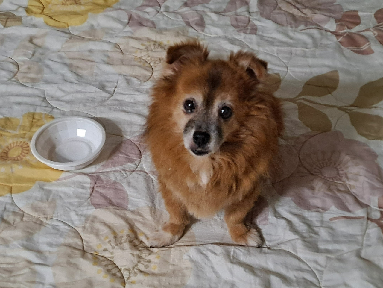 나를 바라보는 꼬맹이.jpg