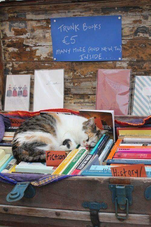 13626619_1235087313178101_4910796708488995557_n (1).jpg