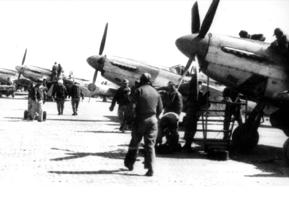 빨간 마후라 (5).jpg