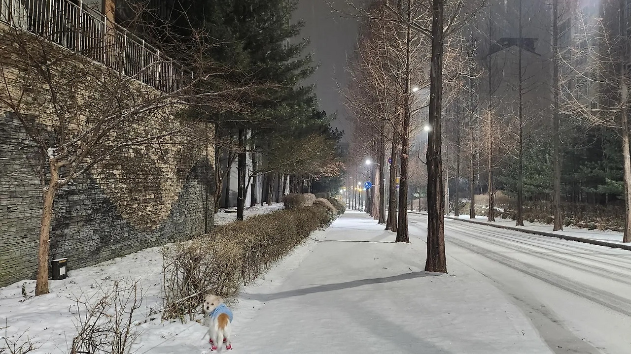 temp_1672460201040.792368618 (1).jpg