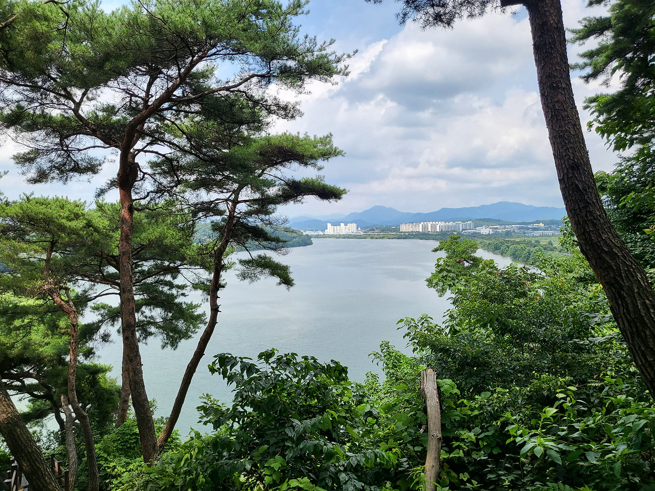 4. 탄금대 충주호.jpg