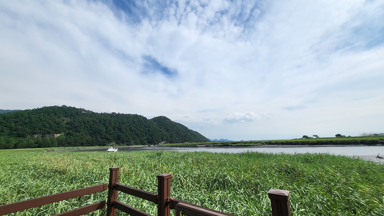 2. 순천만습지.jpg