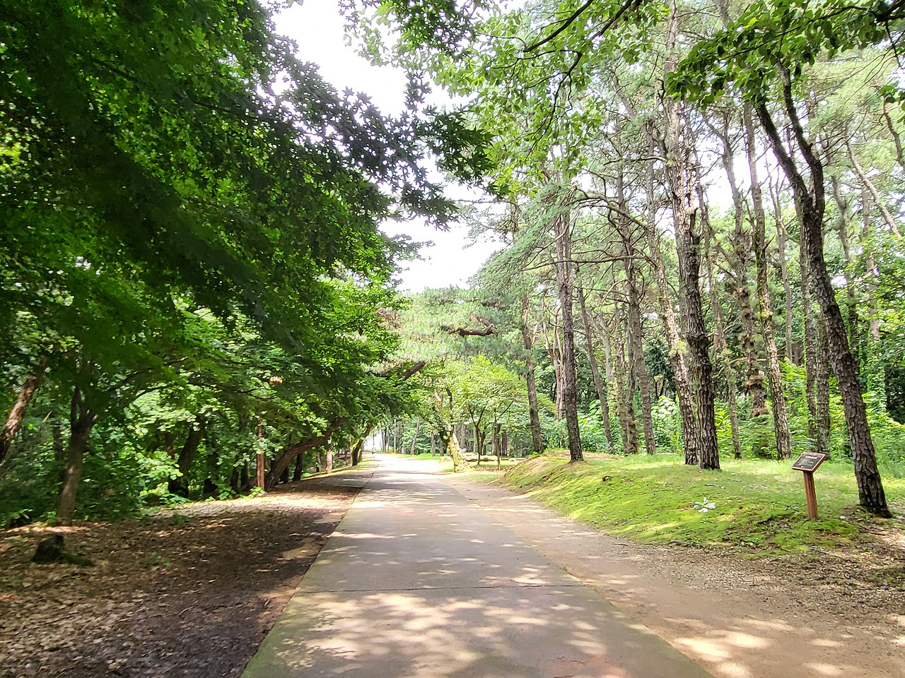 2. 탄금대 입구.jpg