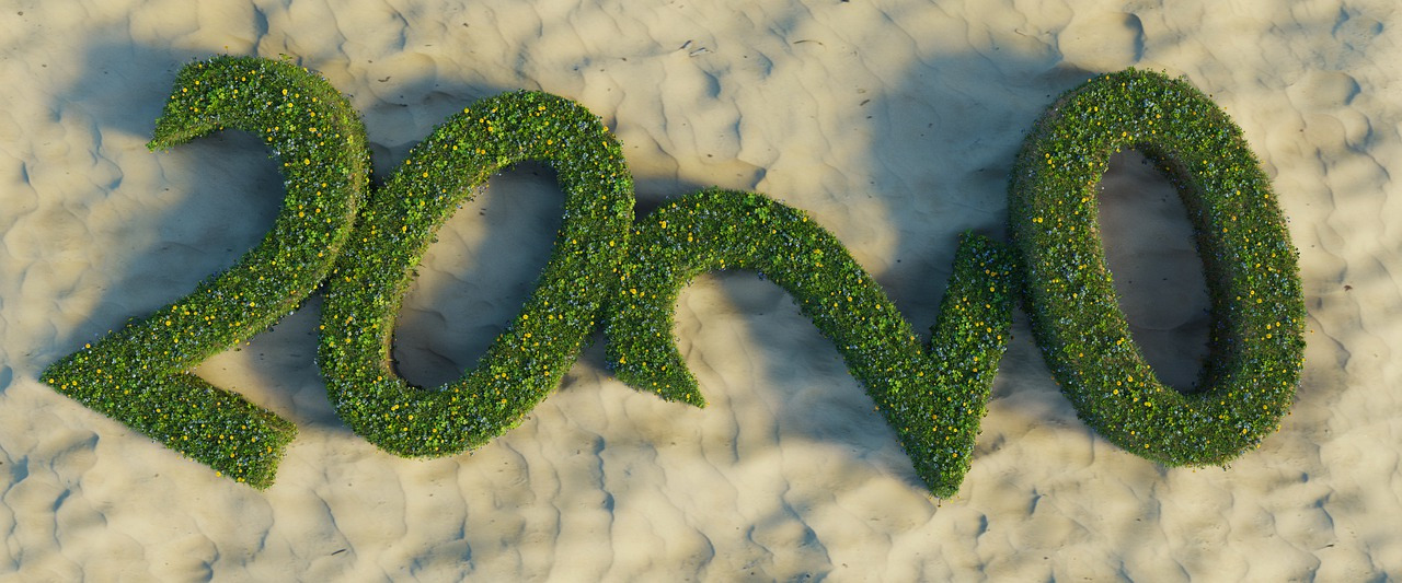 year-2020-4674937_1280 (1).jpg