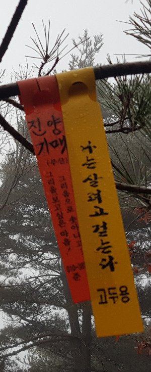 카지노 게임