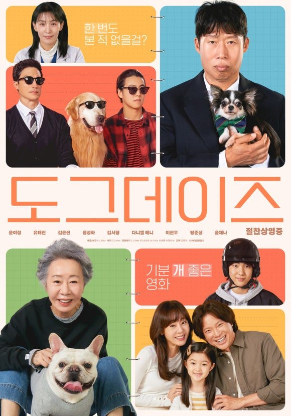 카지노 게임 사이트