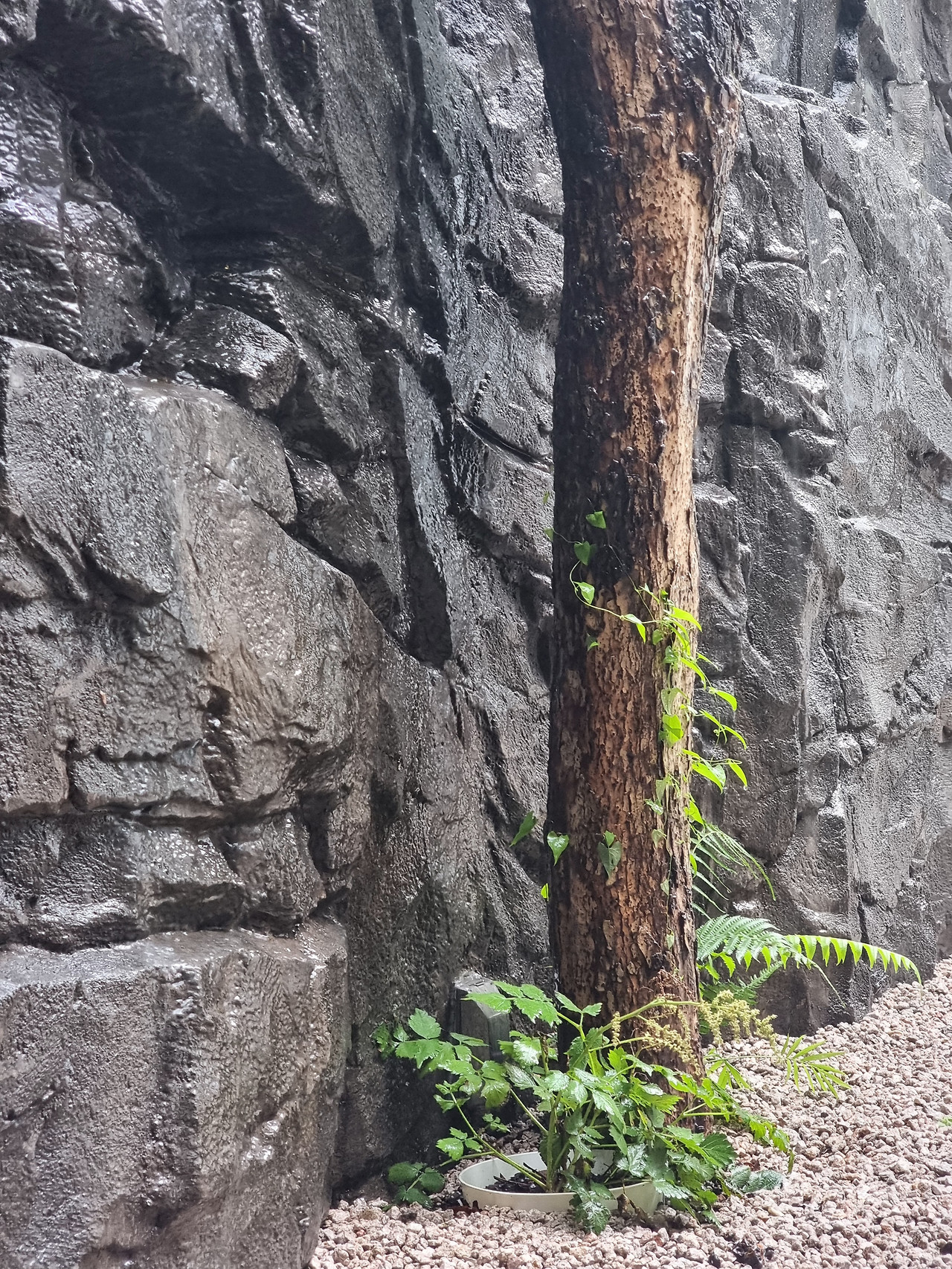 포물선을 그리며 사는 것(Parabola).jpg