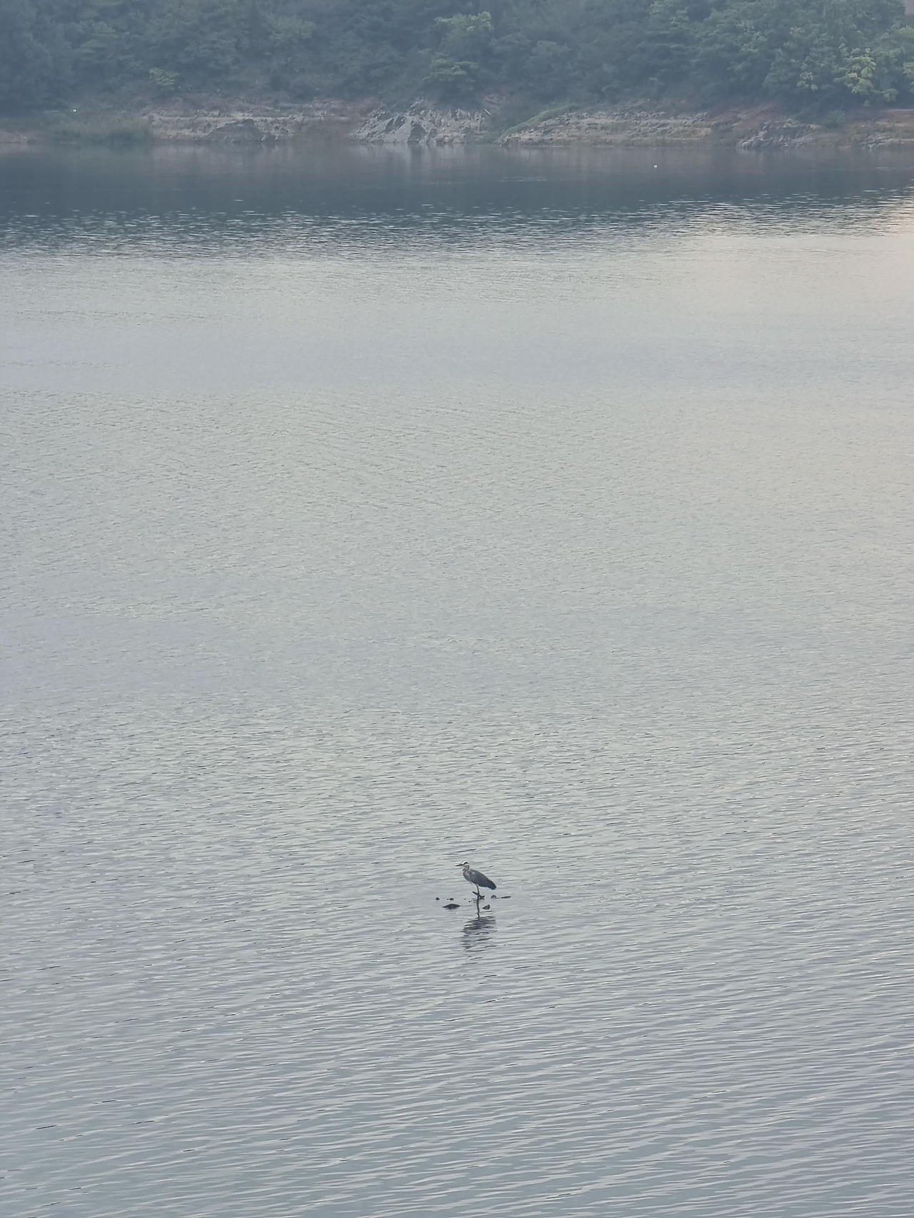 자유롭게 산다는 것에 대한 이야기.jpg