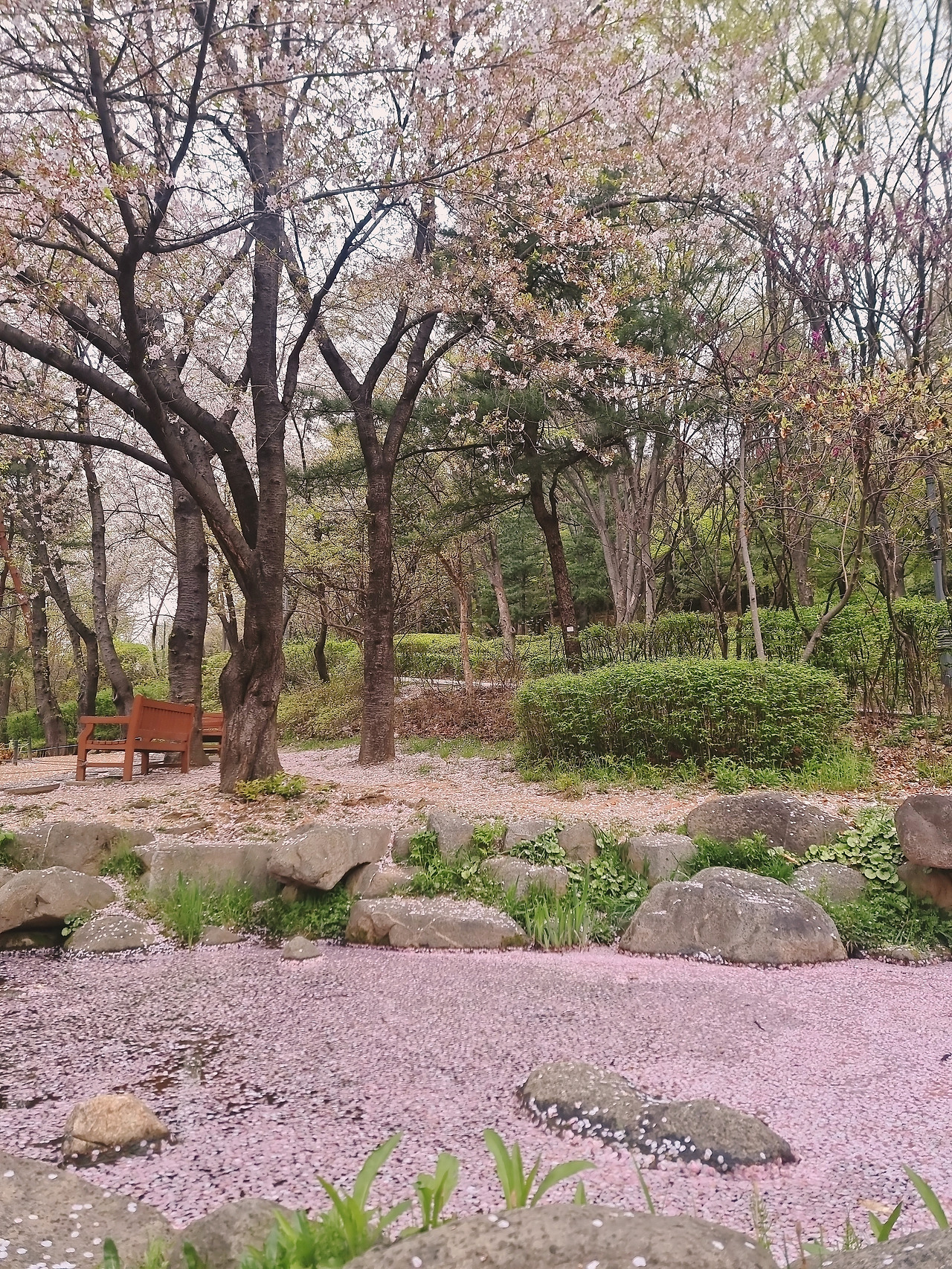 사랑은 이해하는 것이 아니라....jpg