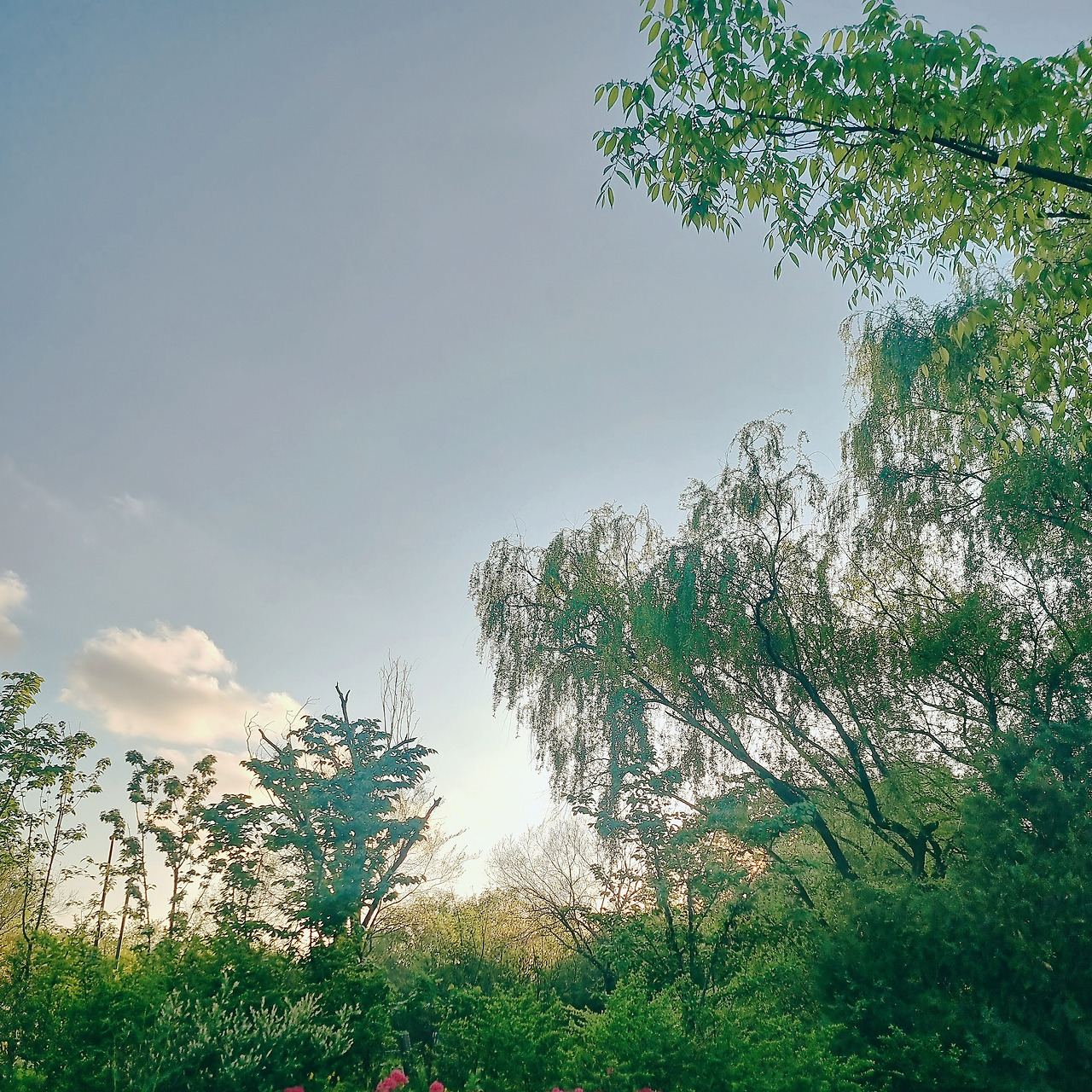 실패했다고 해도.jpg