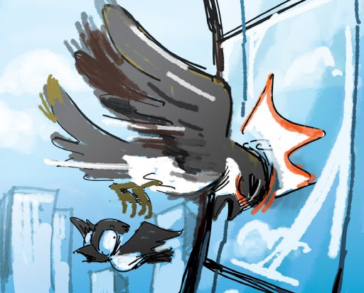 새 유리창 충돌(2).jpg