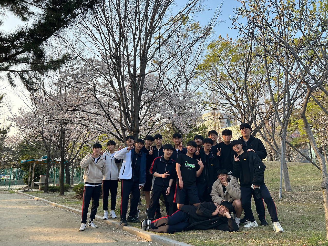 슬기로운 학교생활