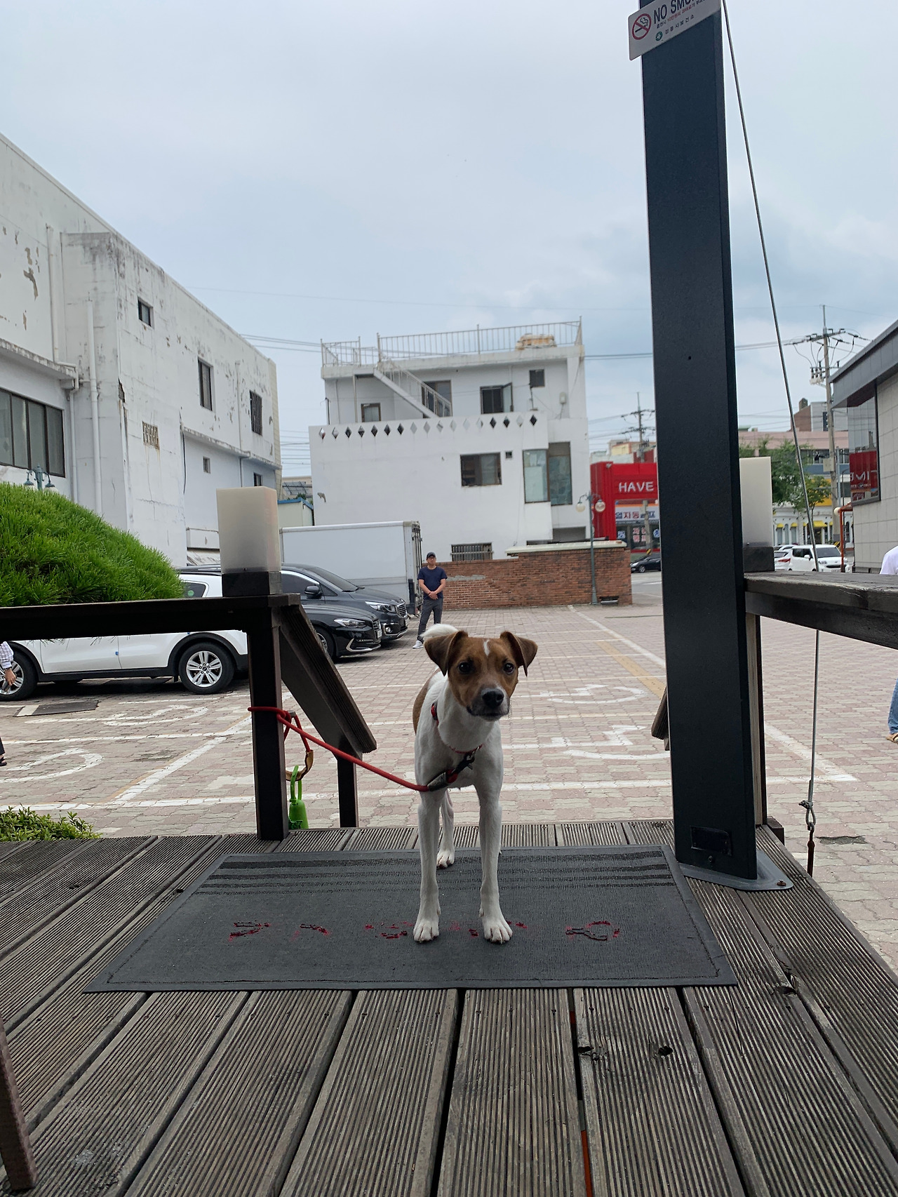 KakaoTalk_20190701_150024611_20.jpg