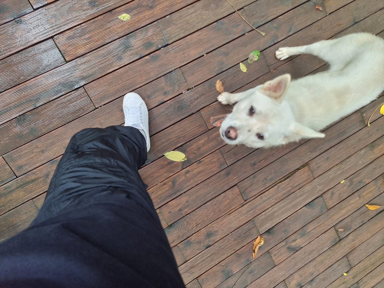 KakaoTalk_20220902_212538286_01 (1).jpg