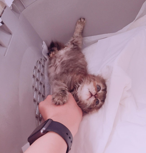 다운로드 (5).jpg