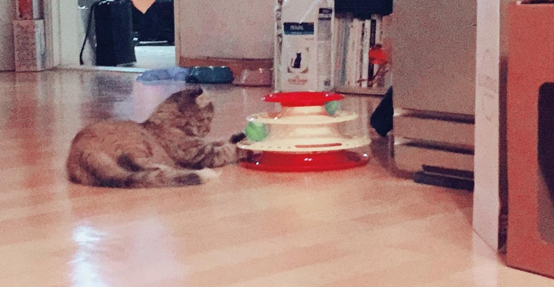 다운로드 (1).jpg