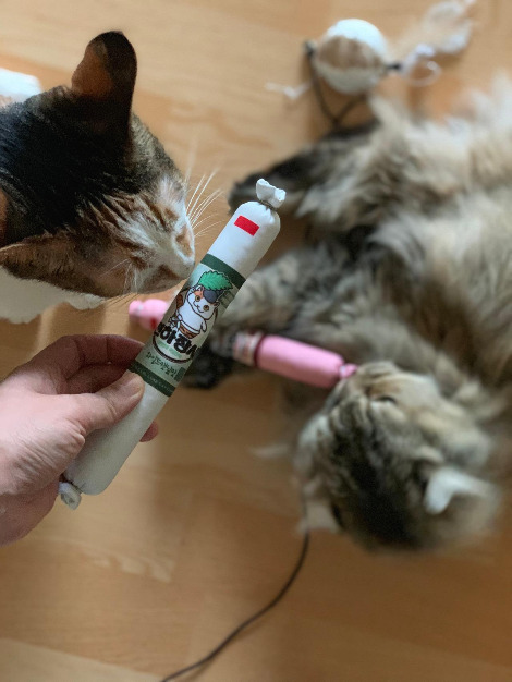 다운로드 (5).jpg