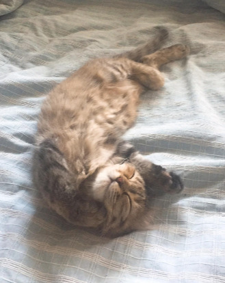 다운로드 (1).jpg