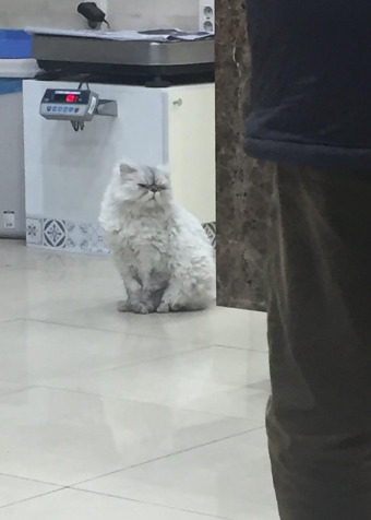 다운로드 (3).jpg