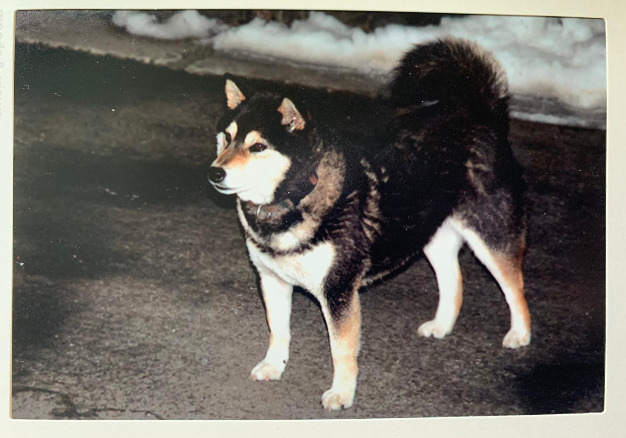 다운로드 (1).jpg