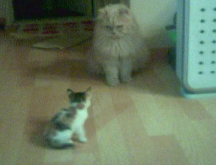 다운로드 (2).jpg