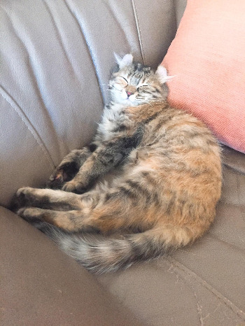 다운로드 (1).jpg