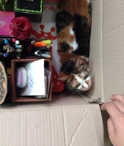 다운로드 (6).jpg