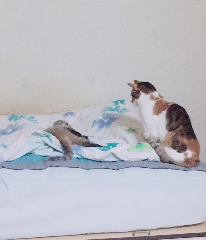 다운로드 (1).jpg