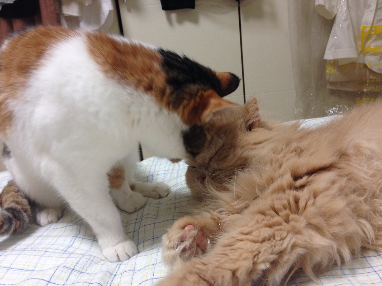 다운로드 (4).jpg