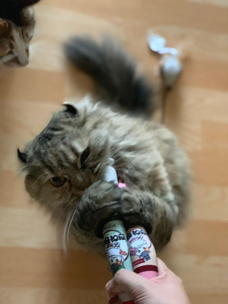 다운로드 (1).jpg