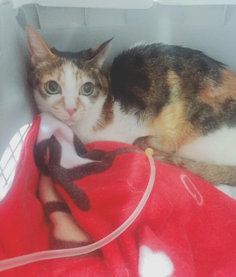 다운로드 (2).jpg