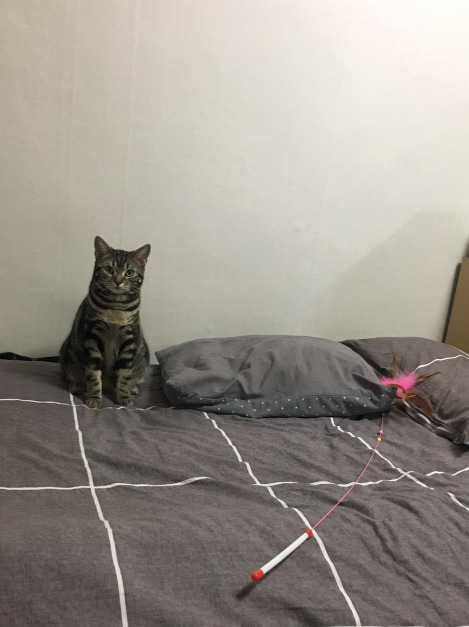 다운로드 (3).jpg