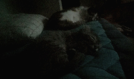 다운로드 (3).jpg