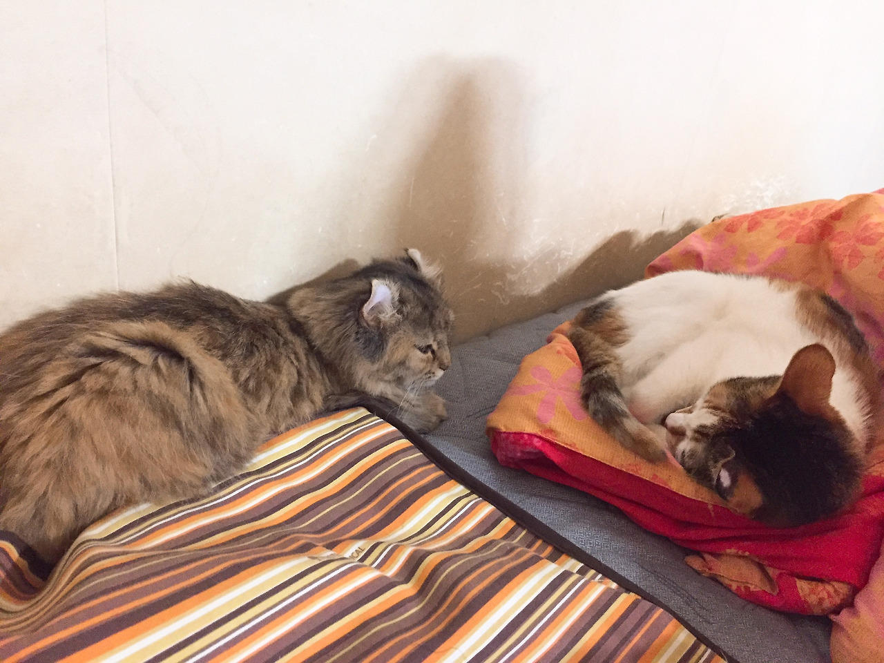 다운로드 (2).jpg