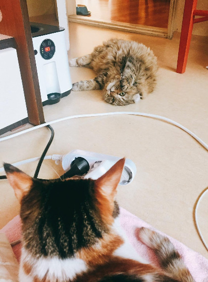 다운로드 (2).jpg