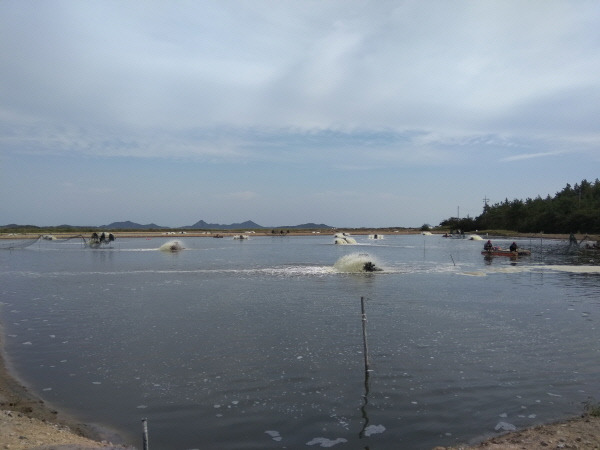 51399_48910_2002.jpg