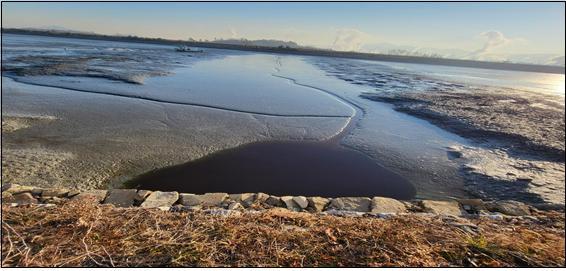 폐수처리장앞갯벌.jpg