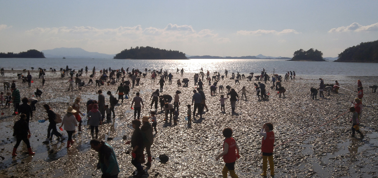 3. 갯벌노을 체험행사.jpg