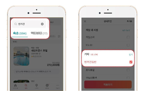 여기어떄 반려동물 검색 기능.jpg